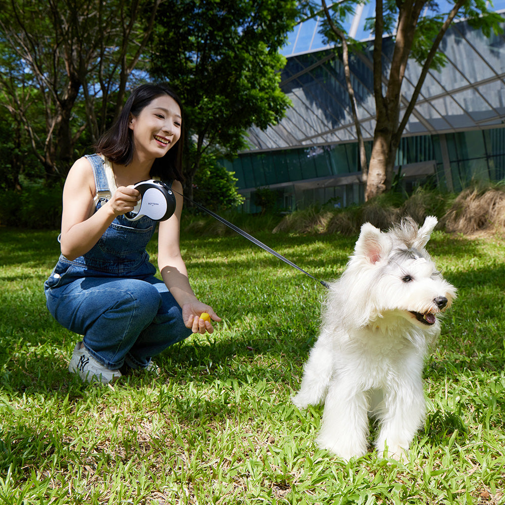 Retractable Dog Leash