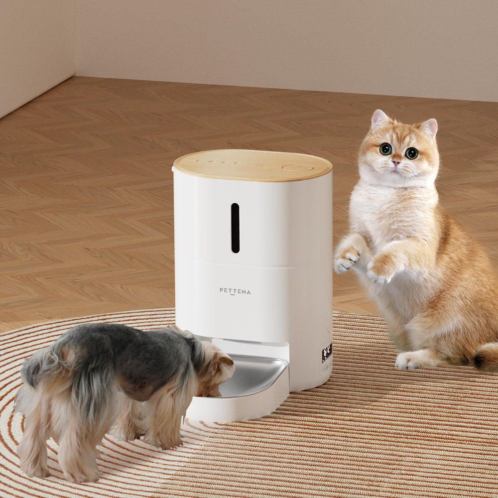 Smart Automatic Pet Feeder