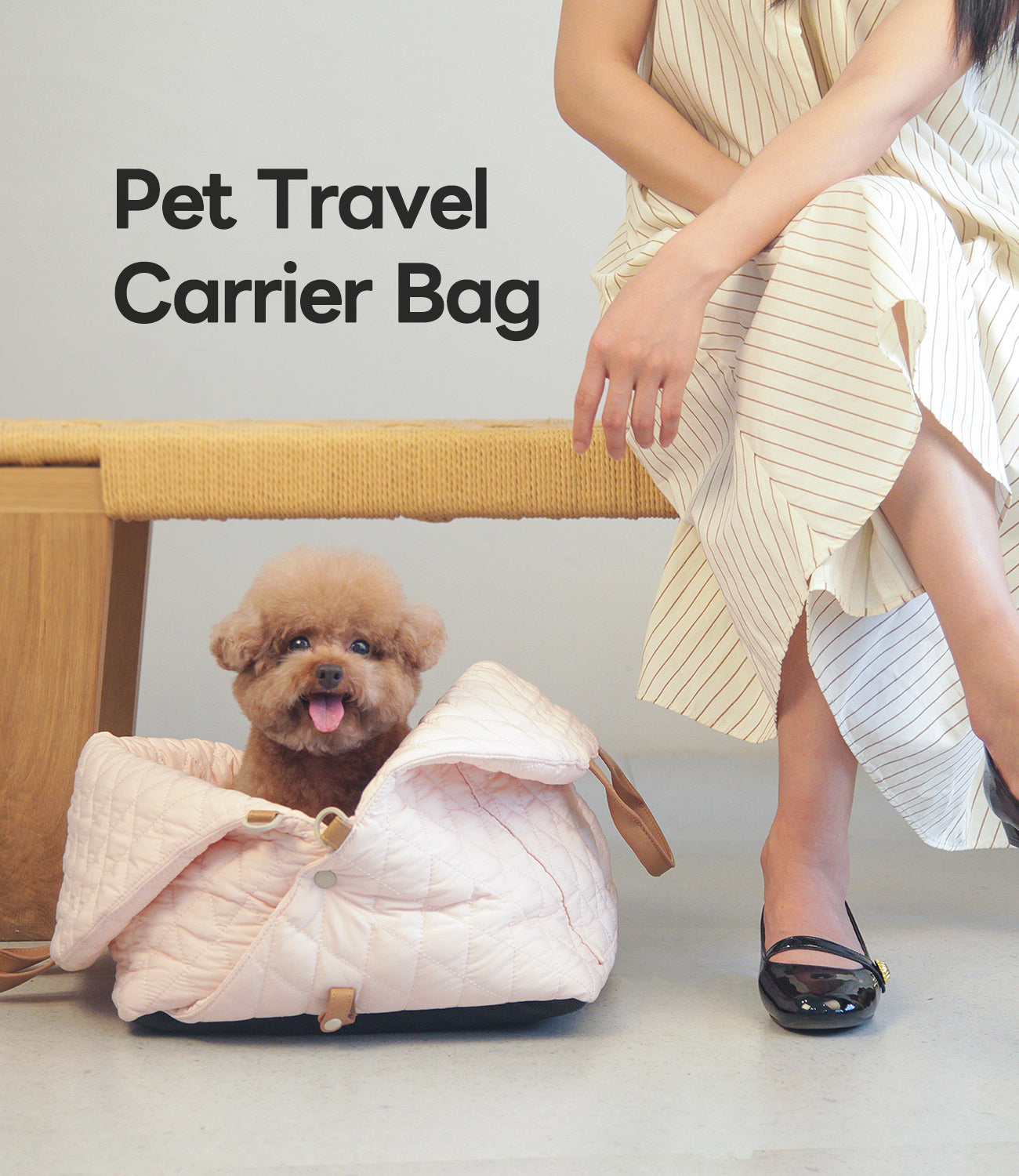 Pet Carrier & Car Seat Bag