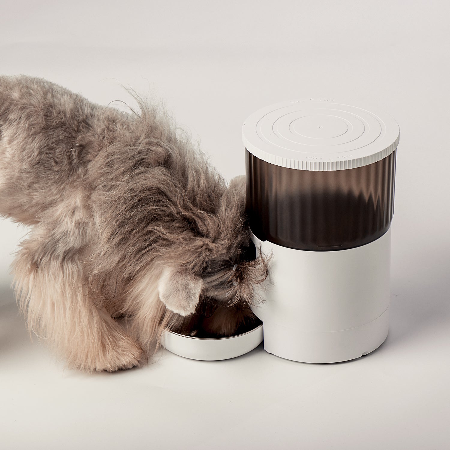 Portable Smart Automatic Pet Feeder