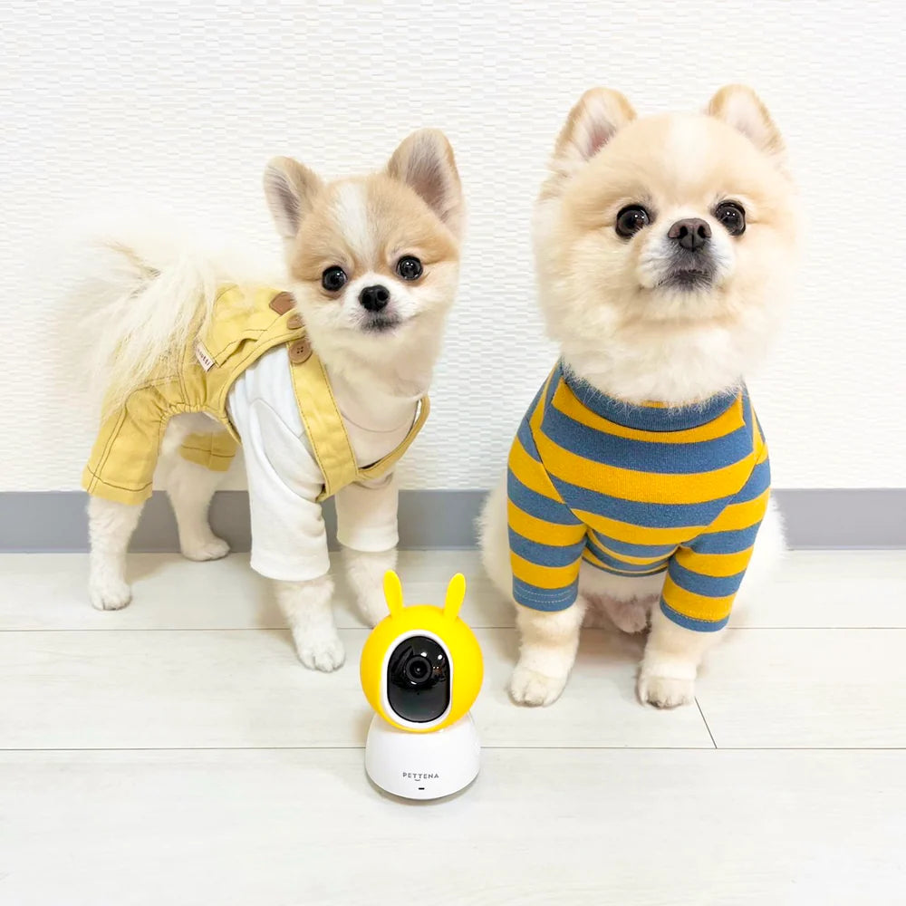 Pet Camera