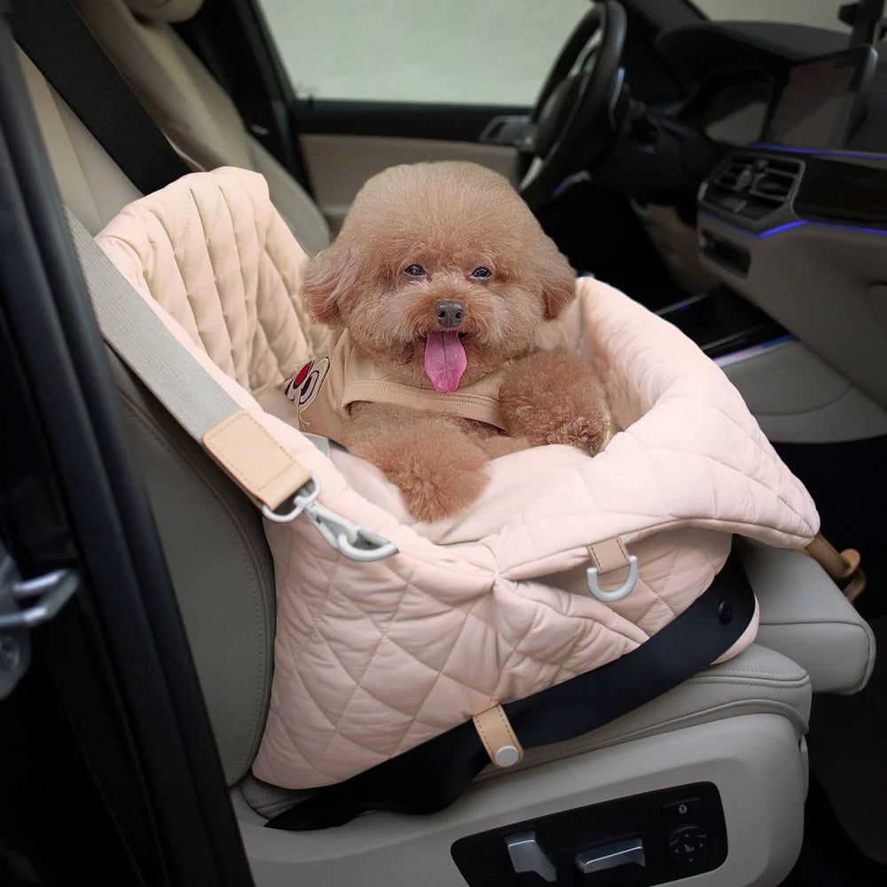 Pet Carrier & Car Seat Bag