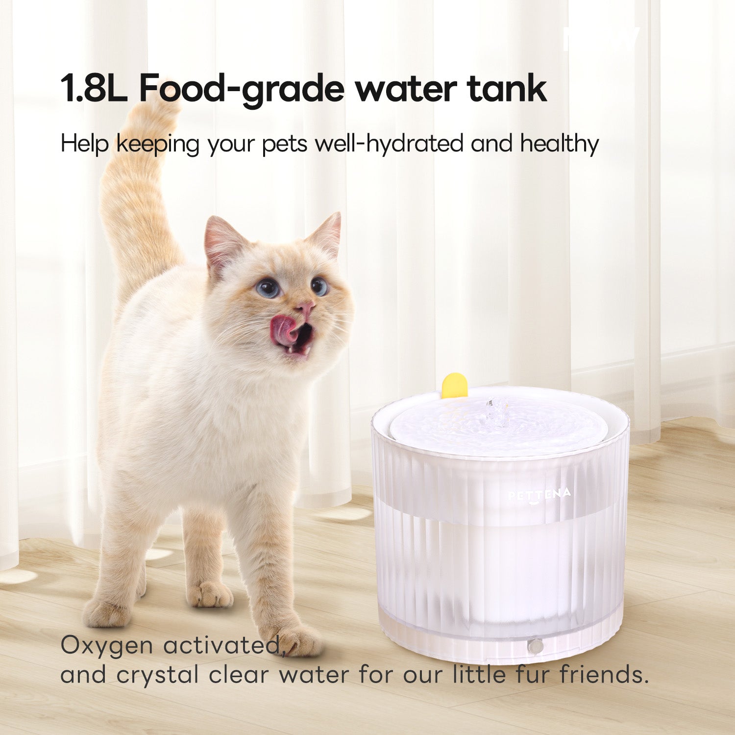 Pet Drinking Fountain